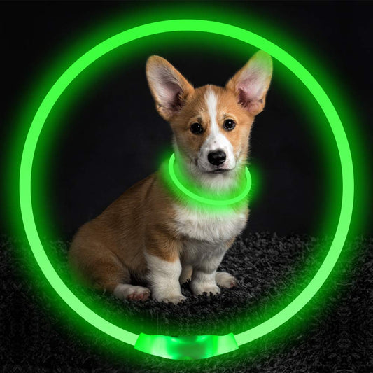 Pet Flashing Collar USB Rechargeable Glowing Necklace Safety Collar Light Up Collars For Night Walking Electric Dog Collar Neon - NJPH Best Selling