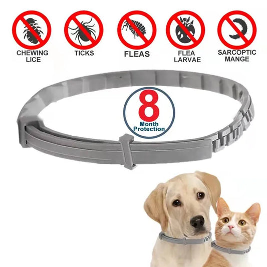 New Releases Cat Collar,Dog Anti-flea and Tick Collars, Pet 8 Month Protection, Can Be Automatically Adjusted, Dogs Accessories - NJPH Best Selling