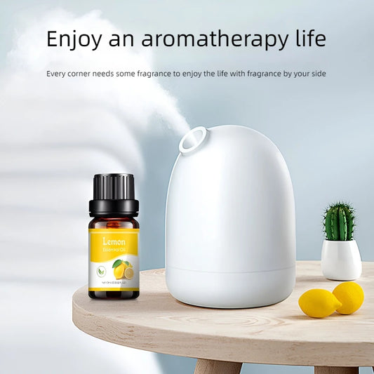 18 Flavors Essential Oils for Aroma Diffuser Air Humidifier Home Water-soluble 10ml Air Freshener Scents Fragrance Oil Perfume - NJPH Best Selling