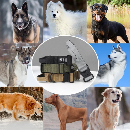 Large Dog Collar Durable Nylon Military Tactical Adjustable Pet Lead Outdoor Walking Training Collars Pitbull Labrador Supplies - NJPH Best Selling