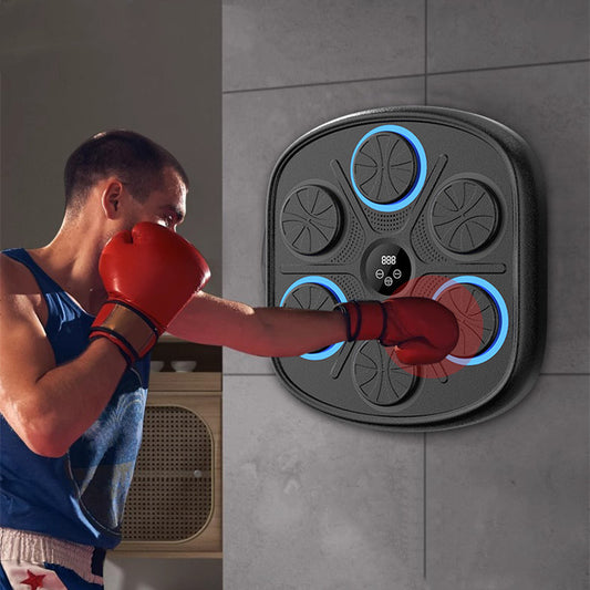 Music Boxing Target Training Wall Target Fitness Equipment - NJPH Best Selling 