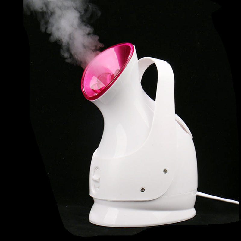 Nano Ion Steaming Facial Beauty Instrument Cleaner - NJPH Best Selling 