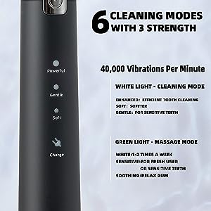 Electric Toothbrush For Adults - NJPH Best Selling 