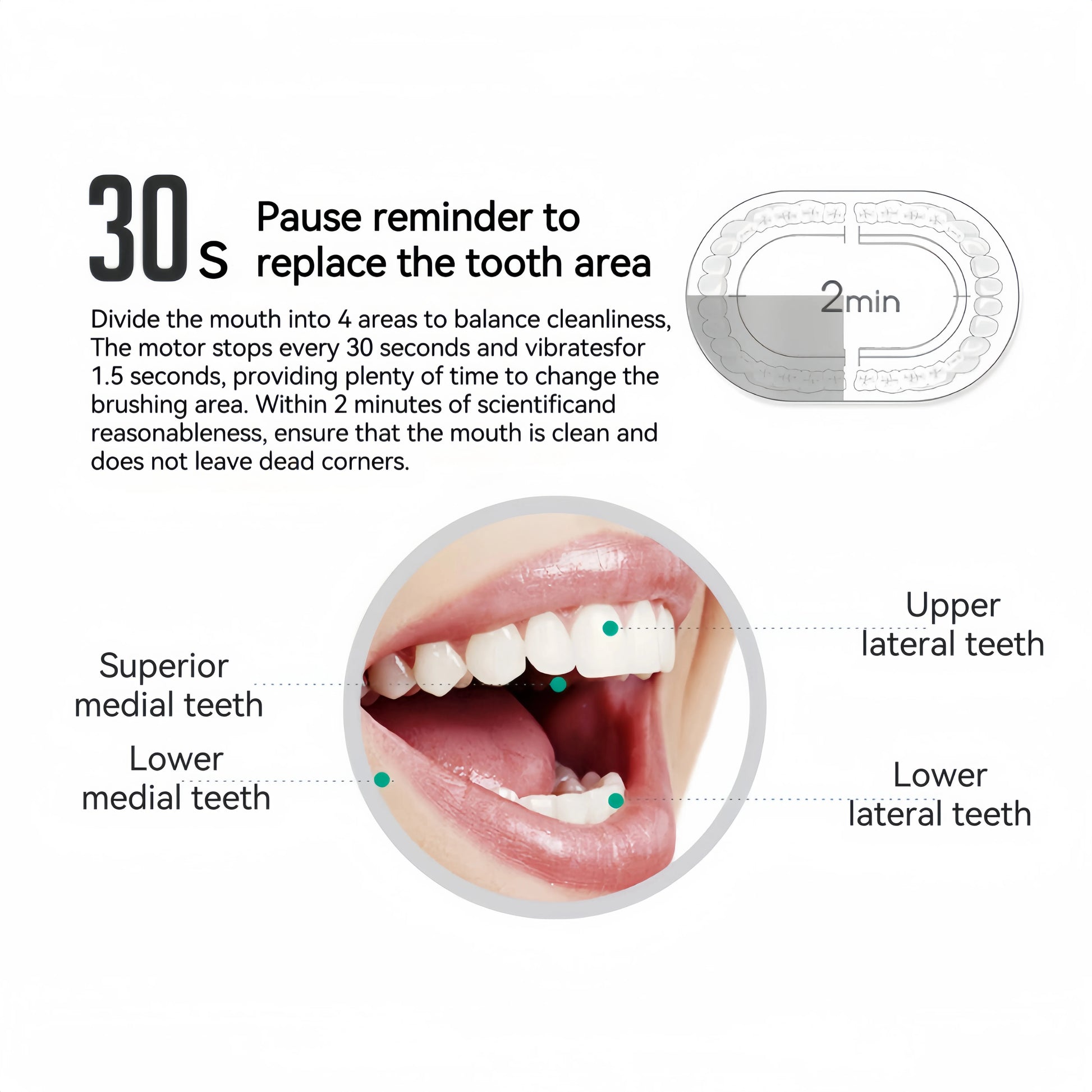 Rechargeable Electric Powered Toothbrush with Travel Case, 8 Brush Heads & USB Rechargeable Tooth Brush Deep Clean Oral Care -6 - NJPH Best Selling 