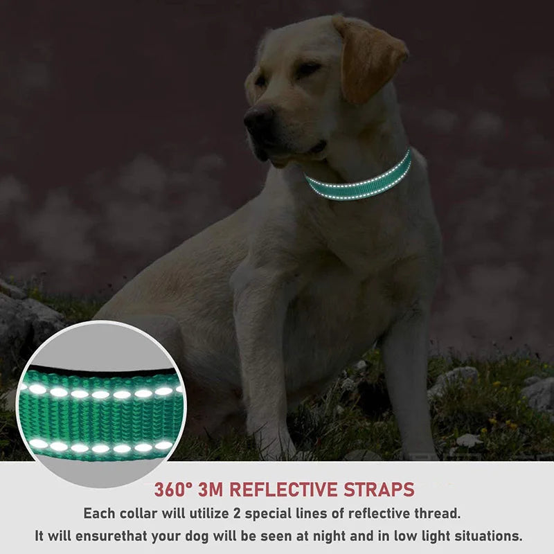 Reflective Dog Collar Strap With Adjustable Safety Nylon Pet Collar Pet Traction Rope Suitable For Small And Medium-Sized Pets - NJPH Best Selling 