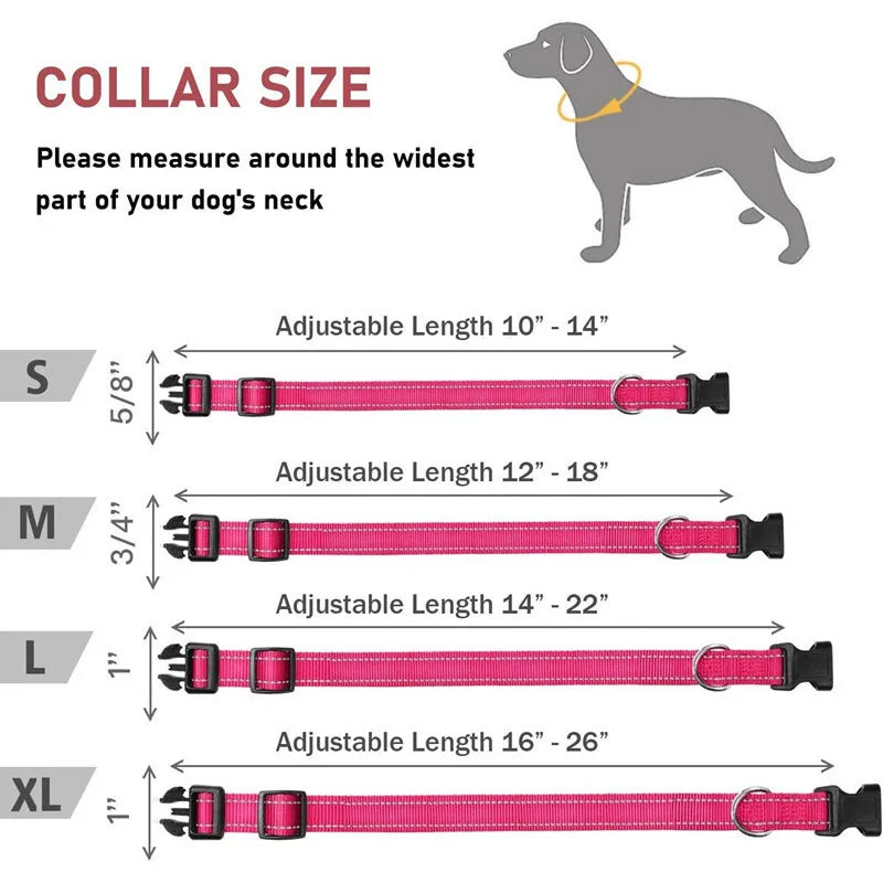 Reflective Dog Collar Strap With Adjustable Safety Nylon Pet Collar Pet Traction Rope Suitable For Small And Medium-Sized Pets - NJPH Best Selling 