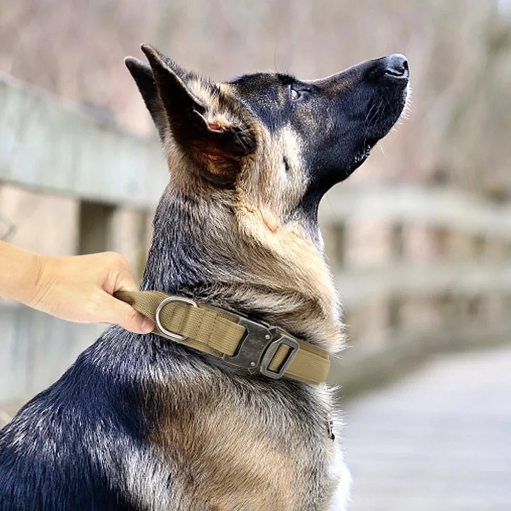 Durable Military Tactical Dog Collar Adjustable Pet Nylon Walking Training Collar For Medium Large Dogs Keji German Shepard - NJPH Best Selling 