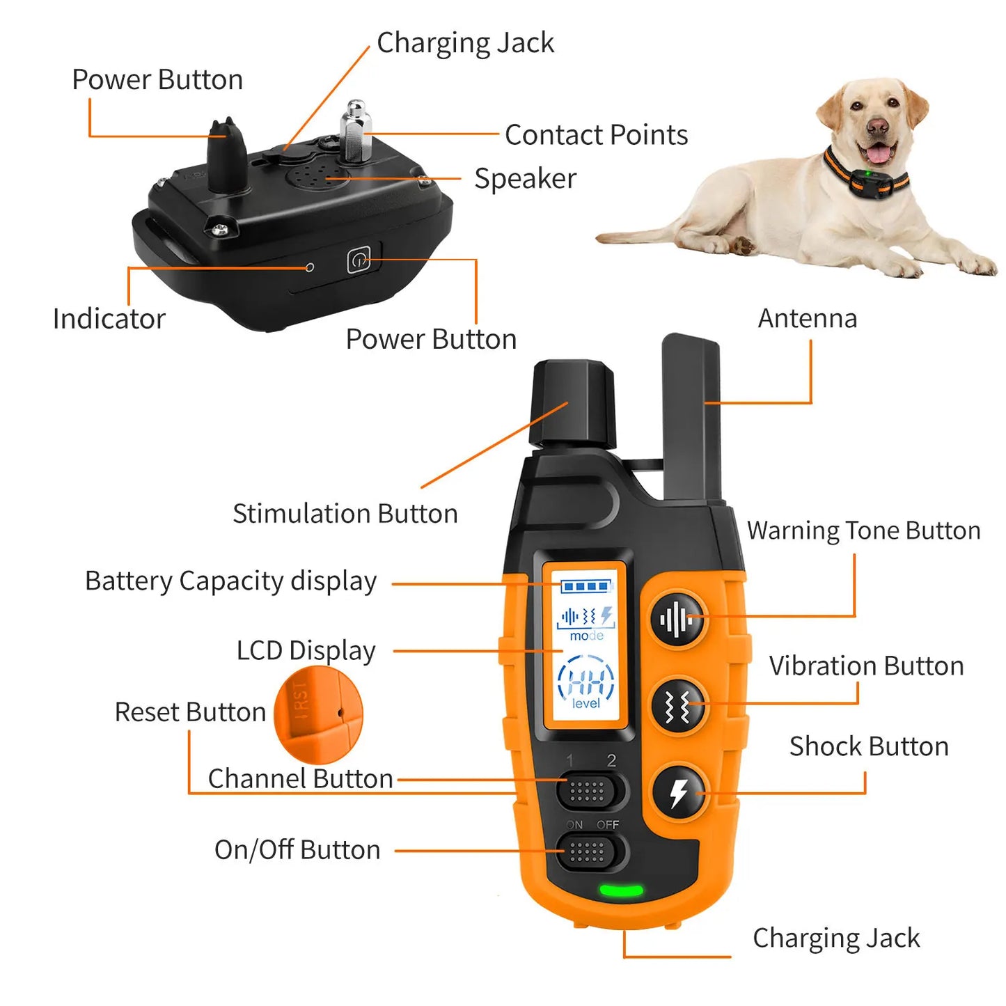 3300Ft Electric Dog Training Collar Remote Control Waterproof Pet BehaviorFor 5-120lbs Puppy With Shock Vibration - NJPH Best Selling 