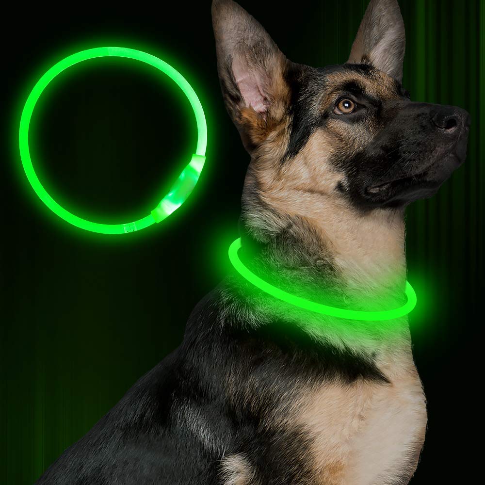 Pet Flashing Collar USB Rechargeable Glowing Necklace Safety Collar Light Up Collars For Night Walking Electric Dog Collar Neon - NJPH Best Selling 